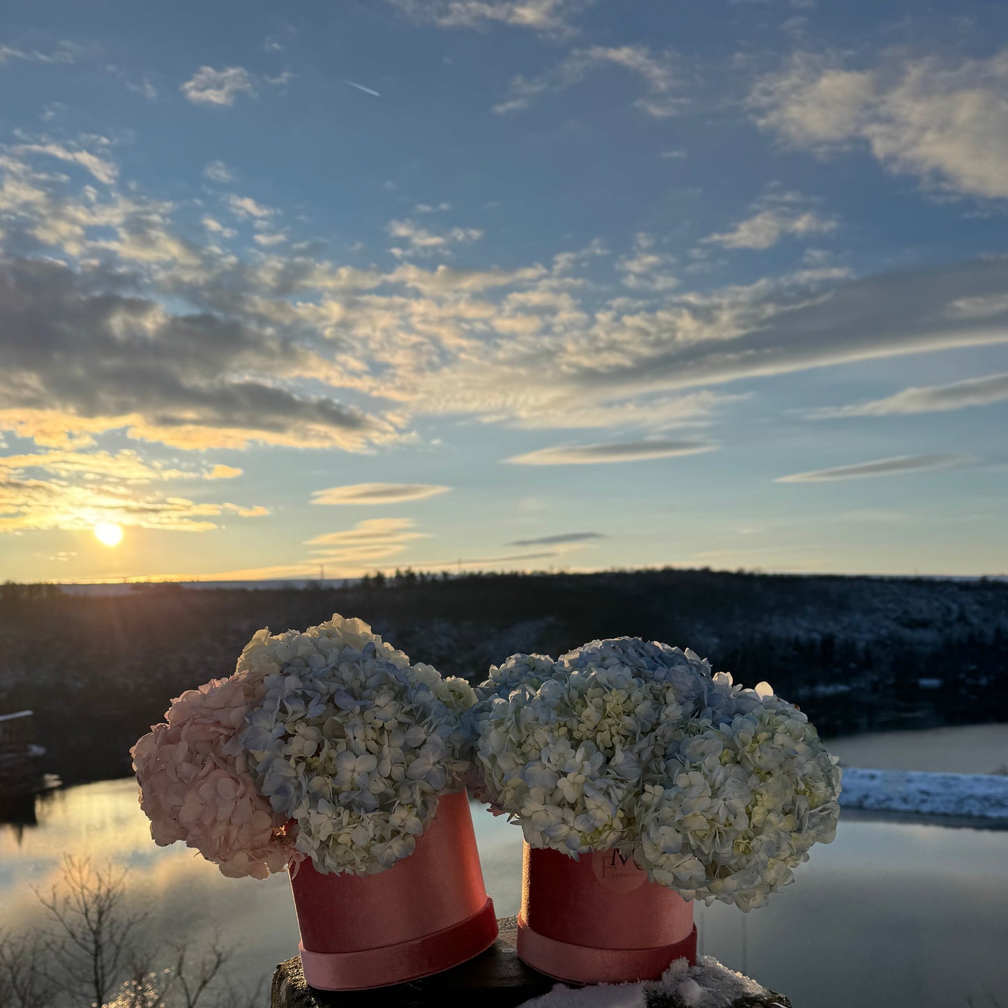 Кутия с хортензии