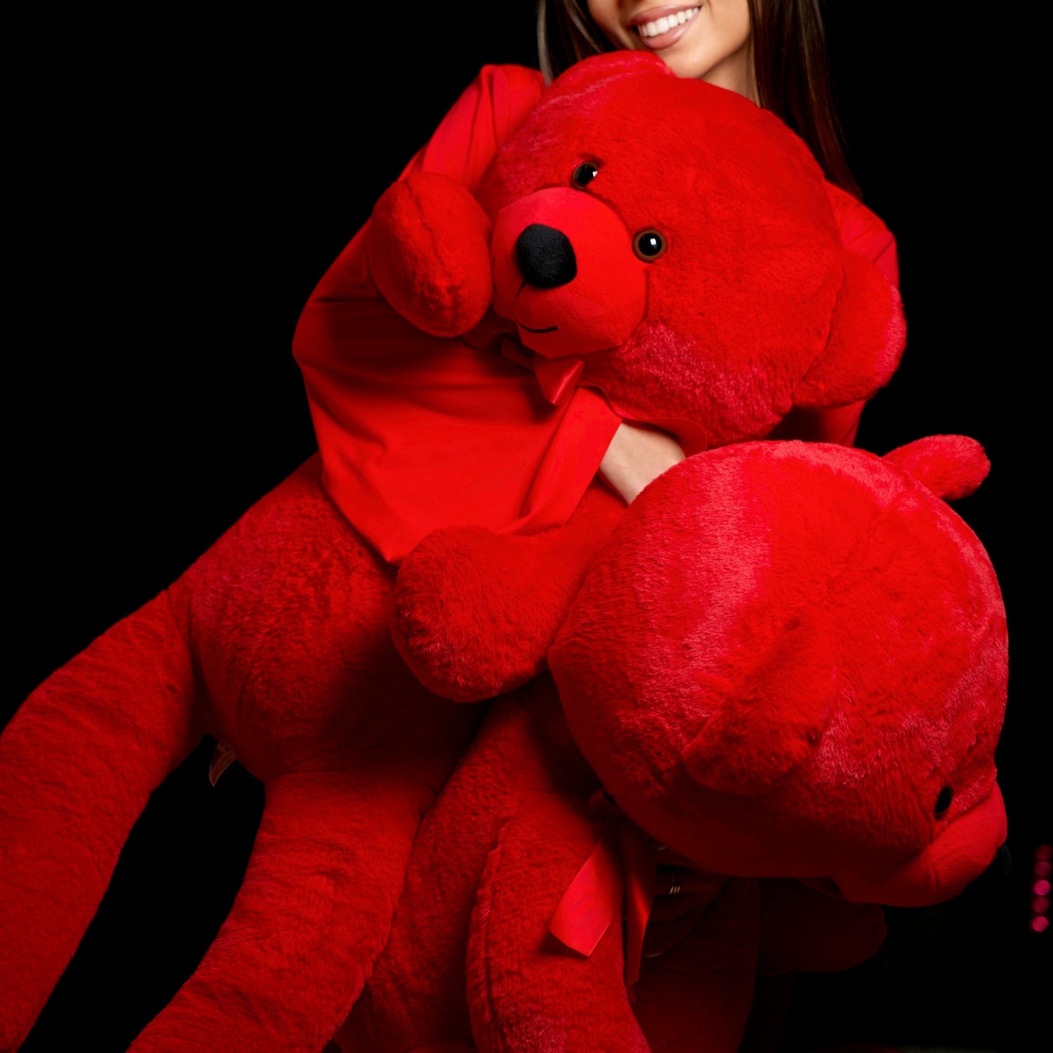 Image 2 Red Teddy Bear
