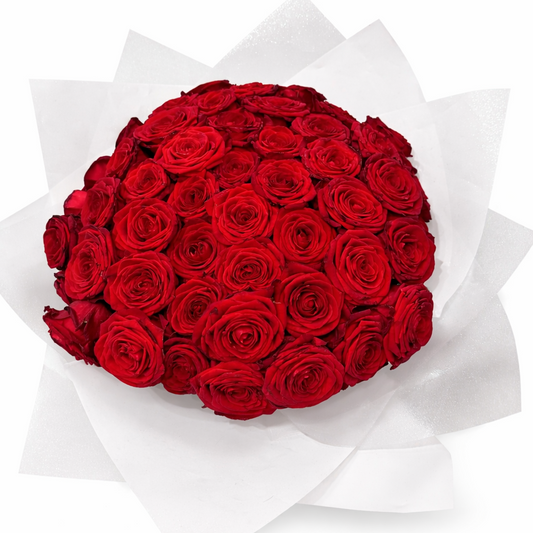 Bouquet of red roses wrapped in white paper on a white background