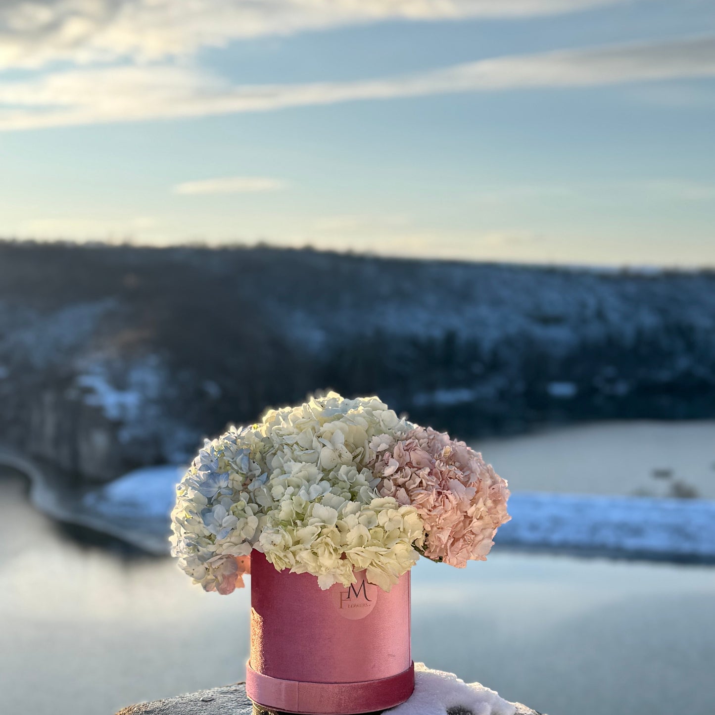 Кутия с хортензии