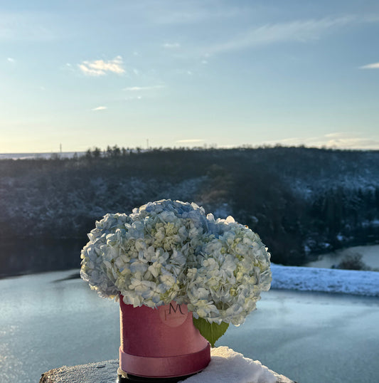 Кутия с хортензии