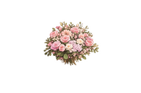 Bouquet of pink and white flowers on a white background