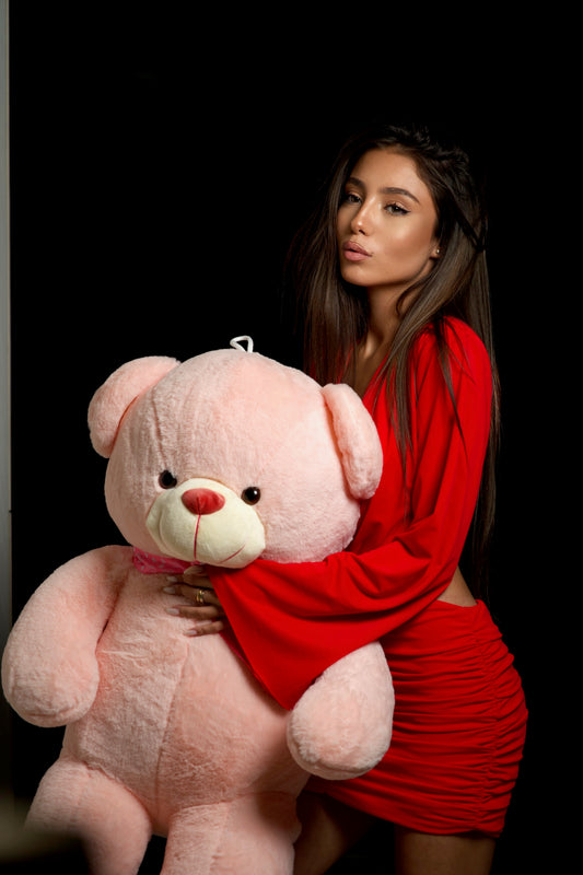 New Image Pink Teddy Bear